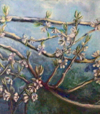 PAMAP-artiste-floraison
