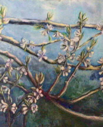 PAMAP-artiste-floraison