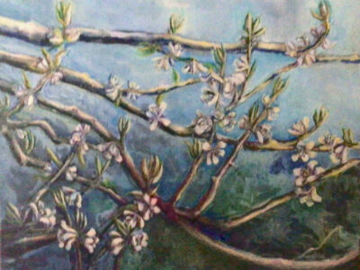 PAMAP-artiste-floraison