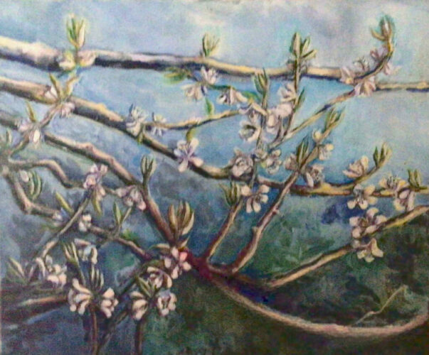 PAMAP-artiste-floraison