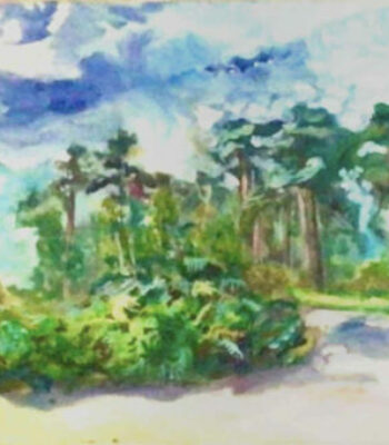 PAMAP-artiste-paysage-normandie-2