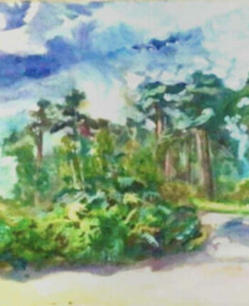 PAMAP-artiste-paysage-normandie-2