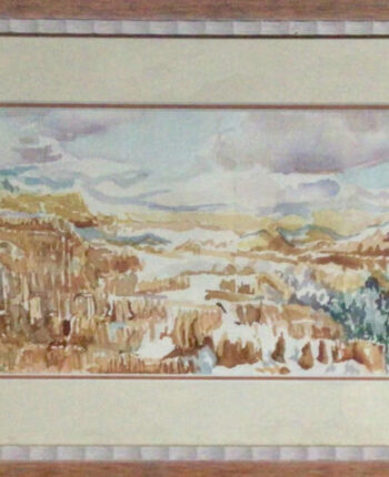 PAMMAP-artiste-paysage-brice-canyon