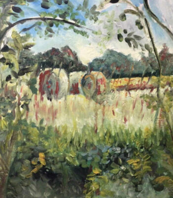 PAMMAP-artiste-paysage-vegetation-3