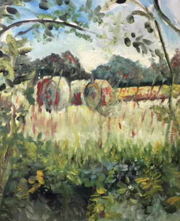 PAMMAP-artiste-paysage-vegetation-3