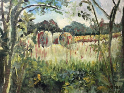 PAMMAP-artiste-paysage-vegetation-3