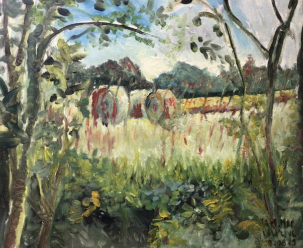 PAMMAP-artiste-paysage-vegetation-3