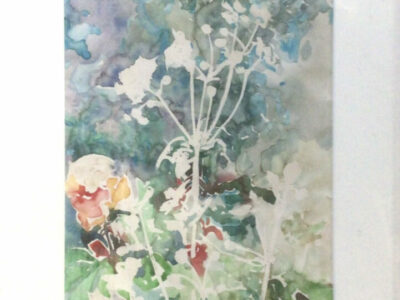 PAMMAP-artiste-paysage-vegetation