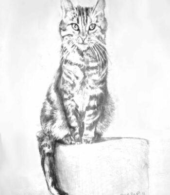 PAMMAP-artiste-peinture-animaux-chat-olaffe-sans-cadre