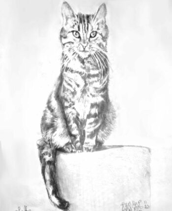 PAMMAP-artiste-peinture-animaux-chat-olaffe-sans-cadre