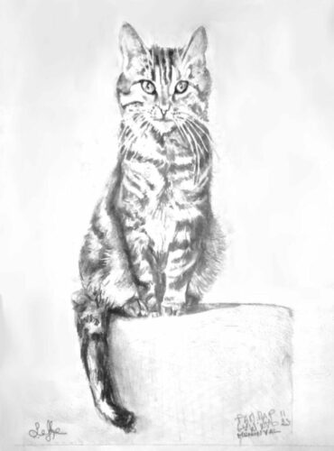 PAMMAP-artiste-peinture-animaux-chat-olaffe-sans-cadre