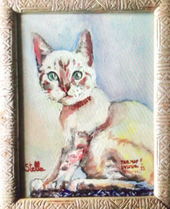 PAMMAP-artiste-peinture-animaux-chat-stella