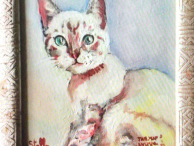 PAMMAP-artiste-peinture-animaux-chat-stella