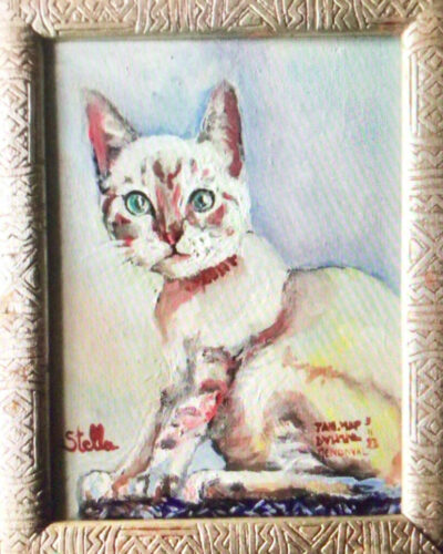 PAMMAP-artiste-peinture-animaux-chat-stella