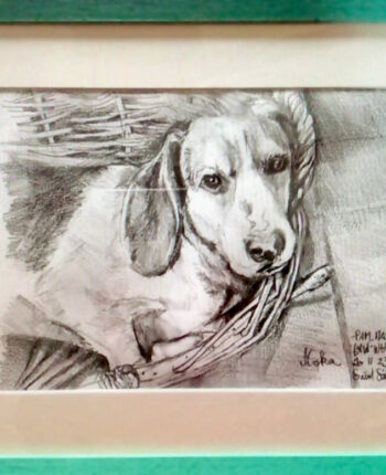 PAMMAP-artiste-peinture-animaux-chien-moka-2