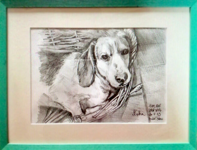 PAMMAP-artiste-peinture-animaux-chien-moka-2
