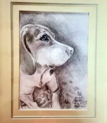 PAMMAP-artiste-peinture-animaux-chien-moka-3