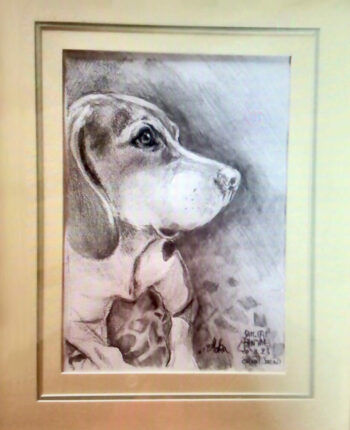 PAMMAP-artiste-peinture-animaux-chien-moka-3