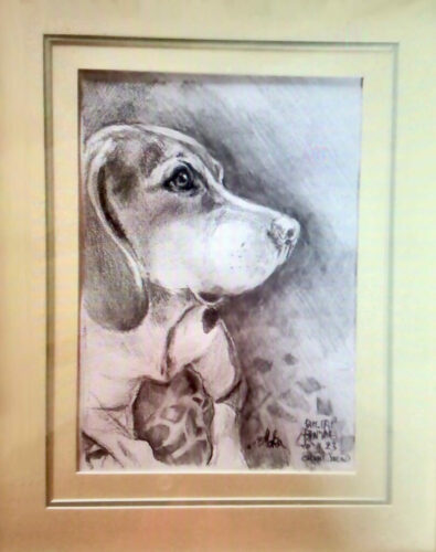 PAMMAP-artiste-peinture-animaux-chien-moka-3