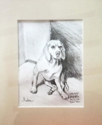 PAMMAP-artiste-peinture-animaux-chien-moka