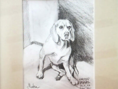 PAMMAP-artiste-peinture-animaux-chien-moka