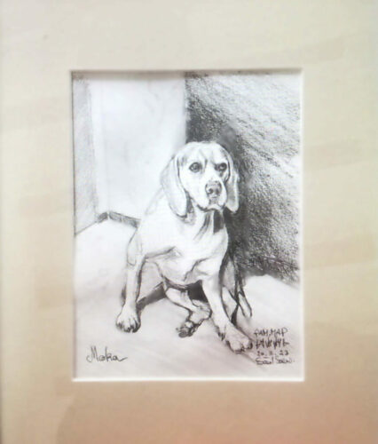 PAMMAP-artiste-peinture-animaux-chien-moka