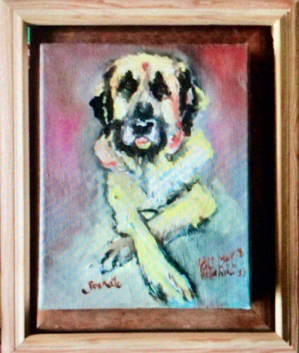 PAMMAP-artiste-peinture-animaux-chien-socrate