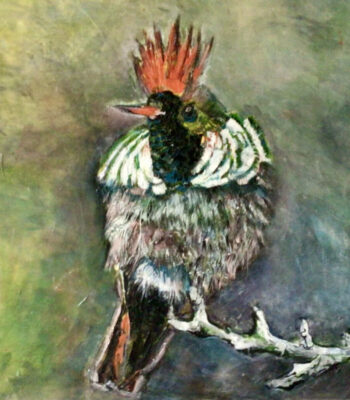 PAMMAP-artiste-peinture-animaux-oiseau