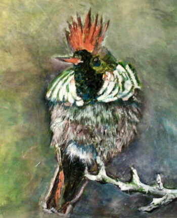 PAMMAP-artiste-peinture-animaux-oiseau