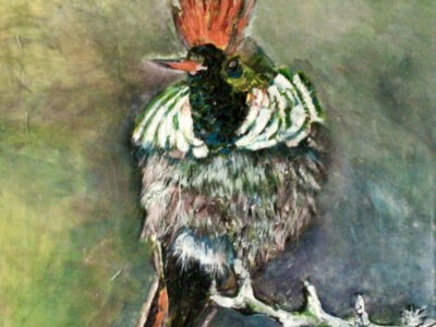 PAMMAP-artiste-peinture-animaux-oiseau