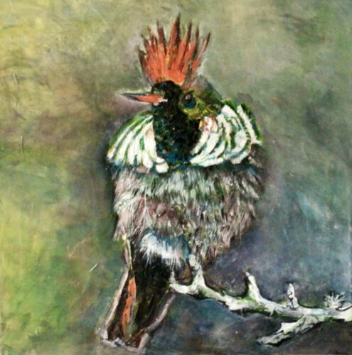 PAMMAP-artiste-peinture-animaux-oiseau