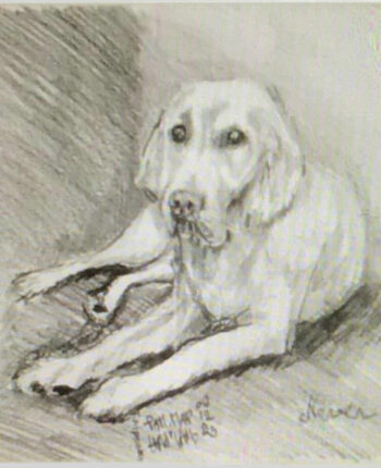 PAMMAP-artiste-peinture-dessin-chiens-naver