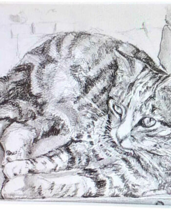 PAMMAP-artiste-peinture-dessin-objet-chat-oscar