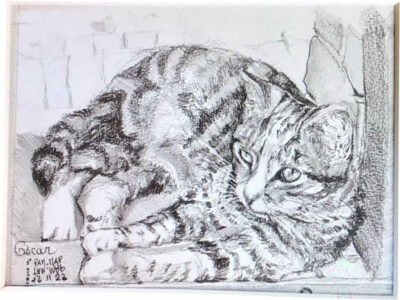 PAMMAP-artiste-peinture-dessin-objet-chat-oscar