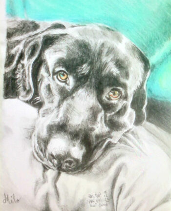 PAMMAP-artiste-peinture-dessin-objet-chien-milo