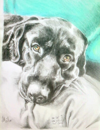PAMMAP-artiste-peinture-dessin-objet-chien-milo
