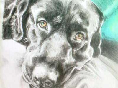 PAMMAP-artiste-peinture-dessin-objet-chien-milo