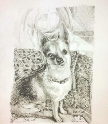PAMMAP-artiste-peinture-dessin-objet-chien-paco
