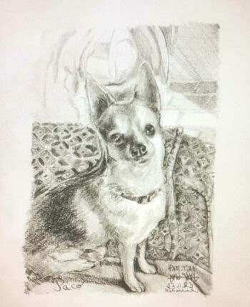 PAMMAP-artiste-peinture-dessin-objet-chien-paco