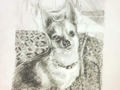 PAMMAP-artiste-peinture-dessin-objet-chien-paco