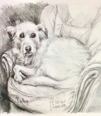 PAMMAP-artiste-peinture-dessin-objet-chien-harley