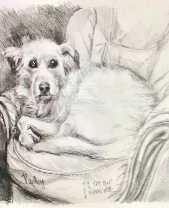 PAMMAP-artiste-peinture-dessin-objet-chien-harley