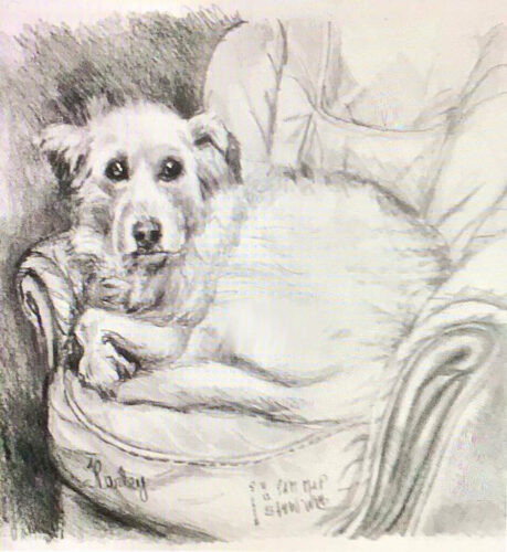 PAMMAP-artiste-peinture-dessin-objet-chien-harley