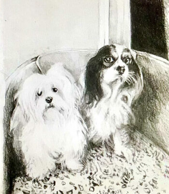 PAMMAP-artiste-peinture-dessin-objet-chiens