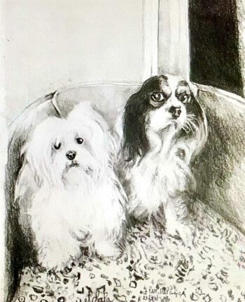 PAMMAP-artiste-peinture-dessin-objet-chiens