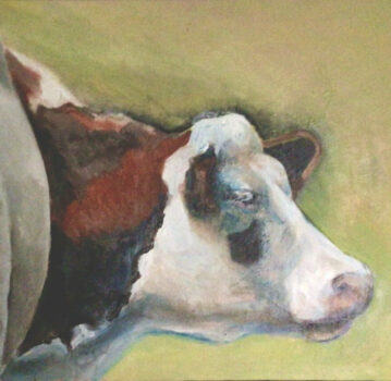 Vache normande Vaches et paysages de Normandie