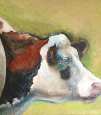 PAMMAP-artiste-peinture-huile-toile-vache-1